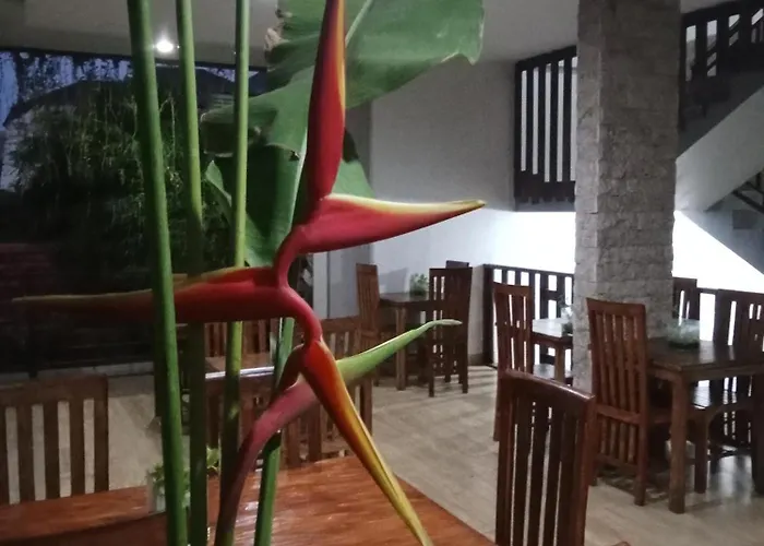 Murai Pensión Denpasar